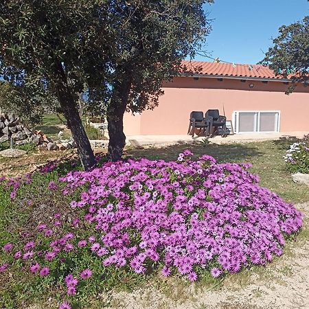 Apartament App Bonic Veli Lošinj Zewnętrze zdjęcie