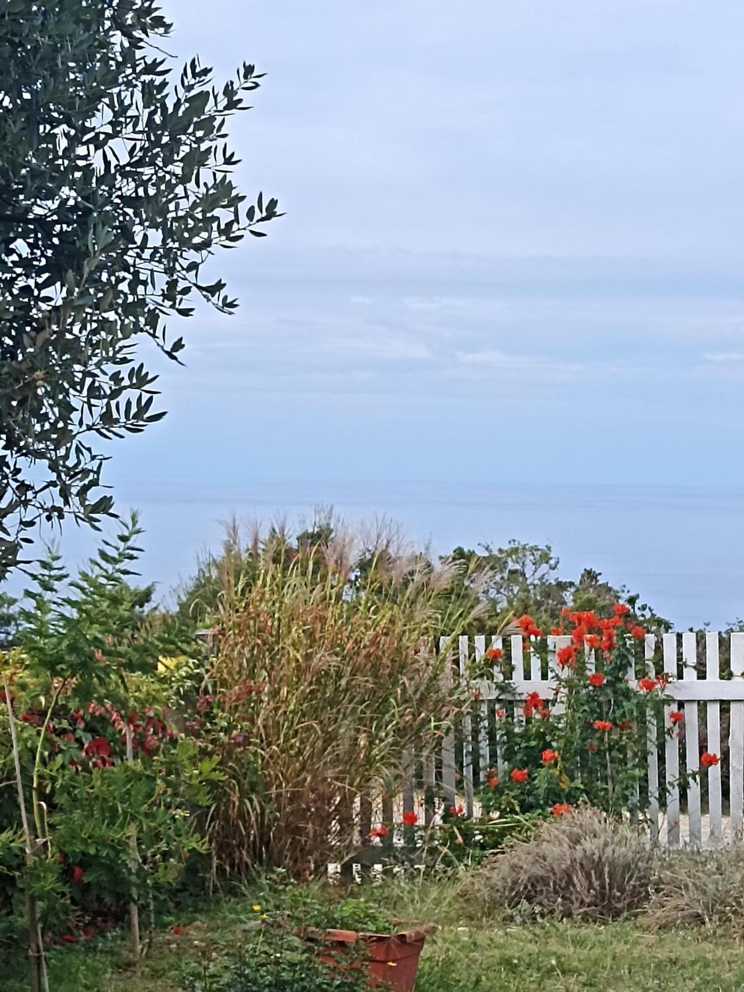 Apartament App Bonic Veli Lošinj Zewnętrze zdjęcie