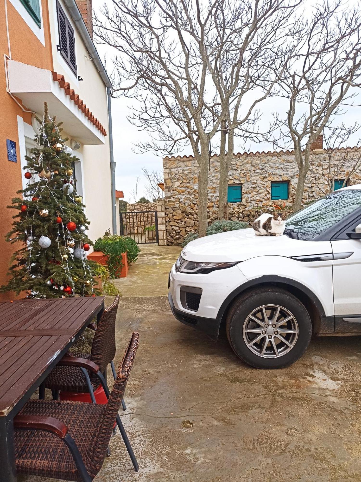 Apartament App Bonic Veli Lošinj Zewnętrze zdjęcie