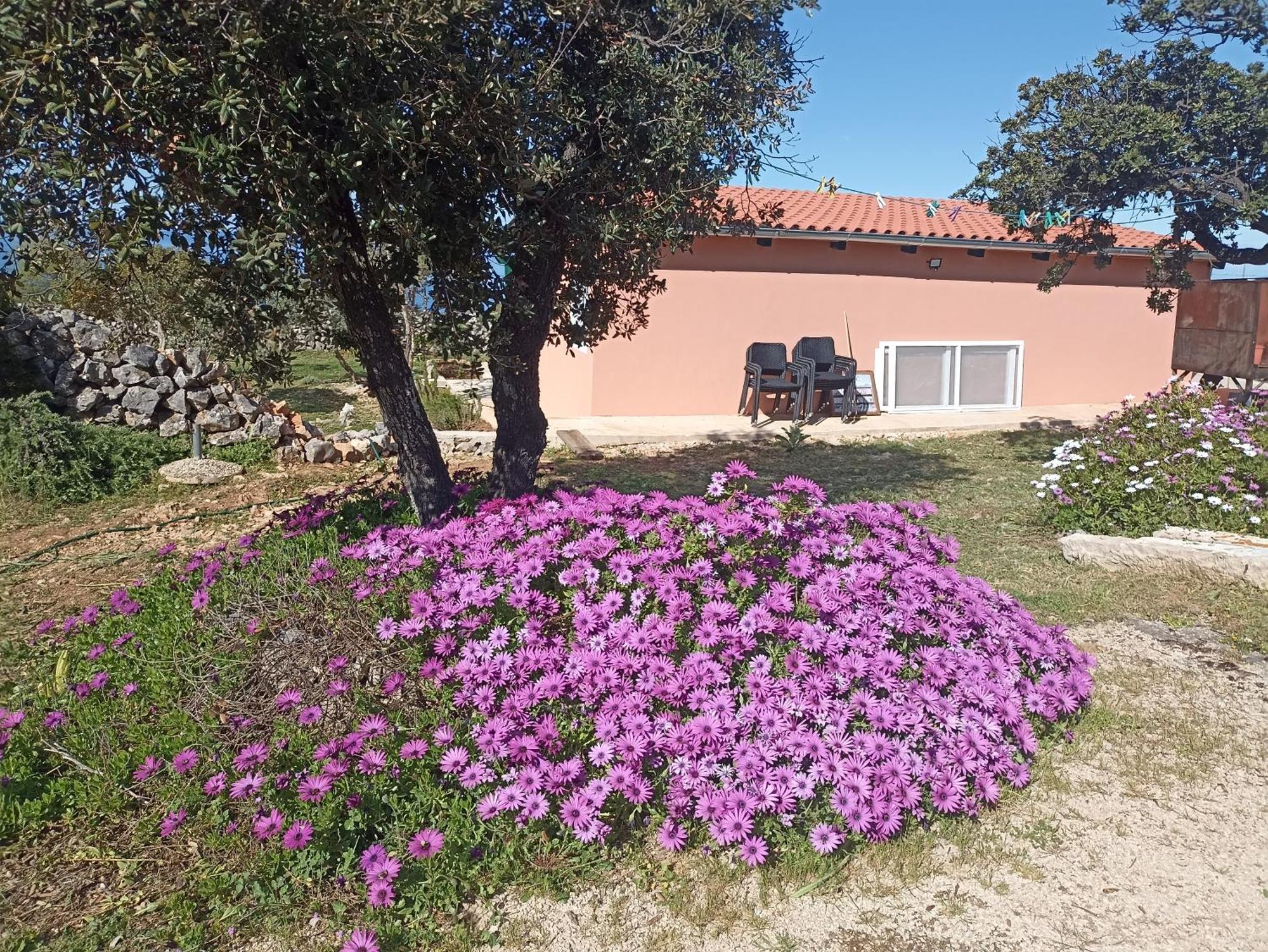 Apartament App Bonic Veli Lošinj Zewnętrze zdjęcie